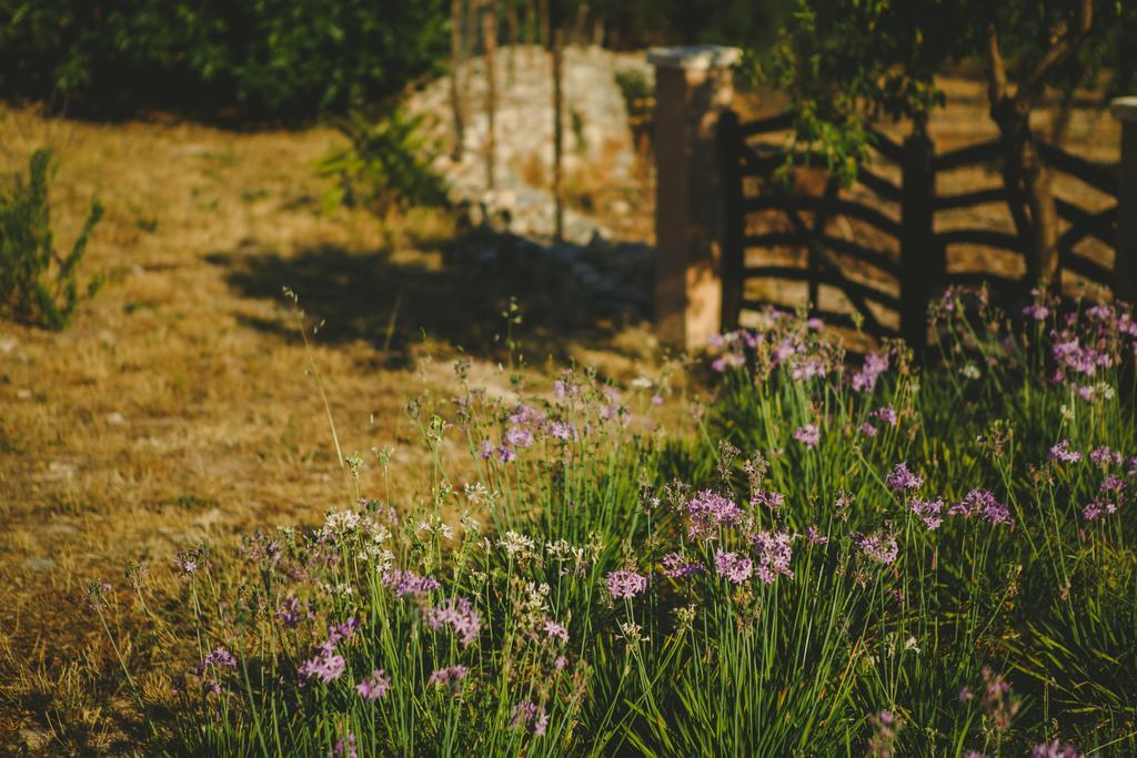 Son Hortola Villa Es Capdella Room photo